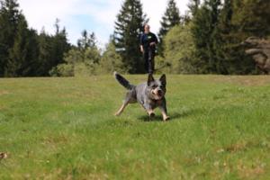 2018 Ausbildungswoche Arber